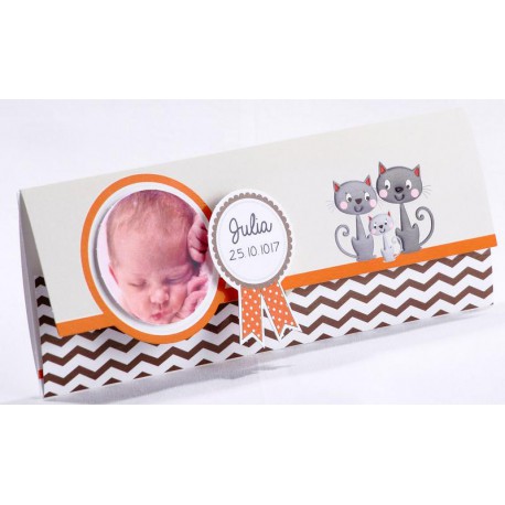 Faire Part Naissance Pochette Chats Gris Faire Part Select En Route 416