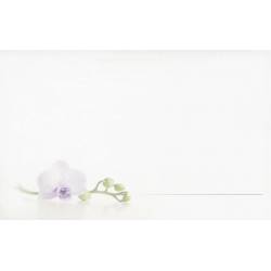 Carte Condoléances Orchidées Blanches, Rectangle, Double Volet, Paysage